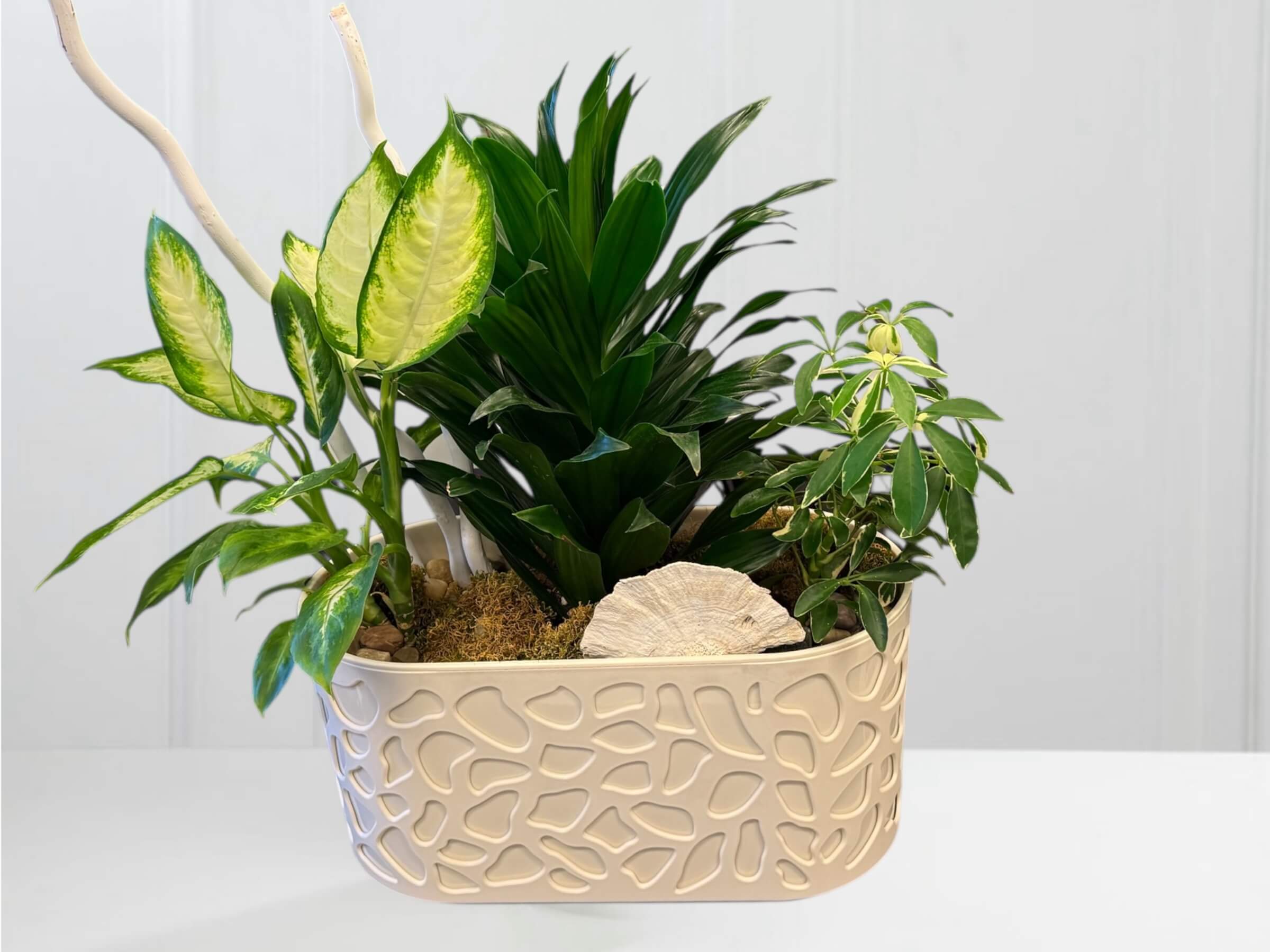 jardin de plantes vertes fleuriste beloeil