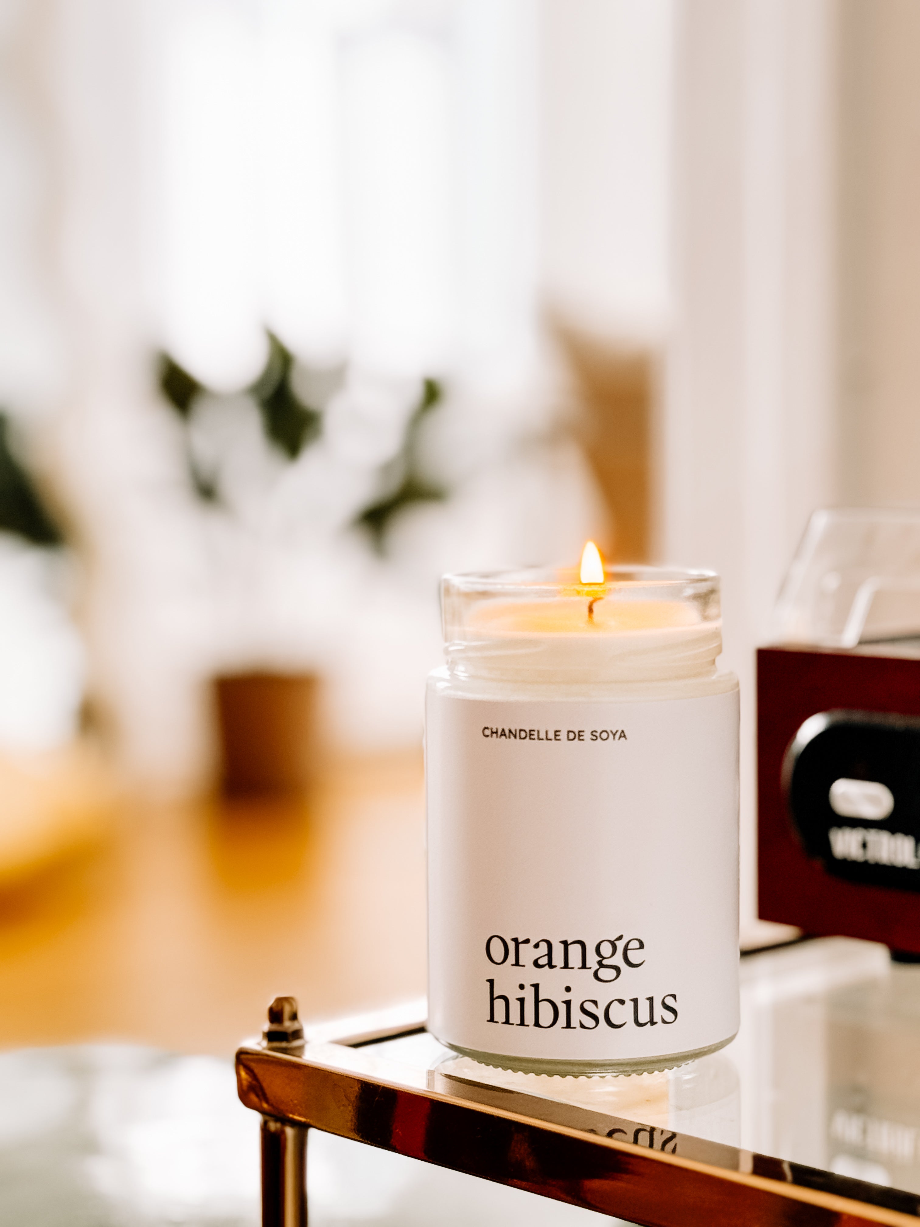 Chandelle de soya - Orange Hibiscus